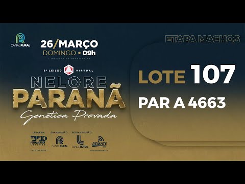 LOTE 107 PAR A4663