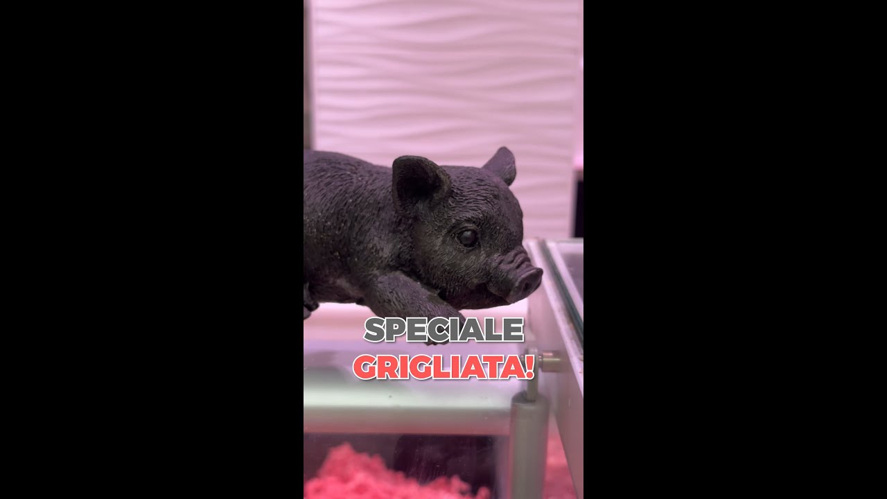 🔥 SPECIALE GRIGLIATA 🔥