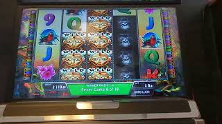 Illinois Slots Bar Slot Machine, Gorilla. Bonus game win screenshot 2