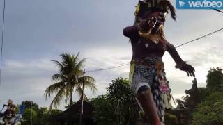 ogoh ogoh 2017 adat kerambitan tabanan bali