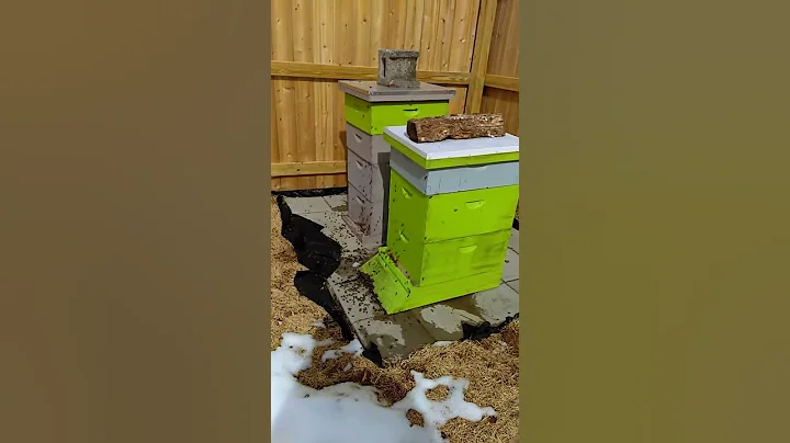 Beer and bees