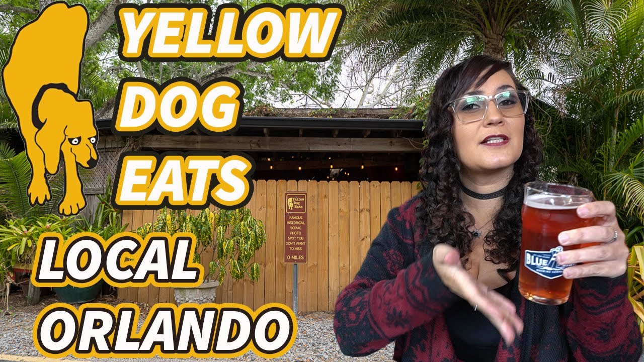 Yellow Dog Eats dining review🐕 Vegan vs NonVegan try Orlando food YouTube