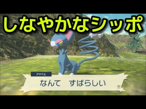 ポケモン アルセウス サブ任務41 しなやかなシッポ 攻略 Pokemon Legends アルセウス Youtube