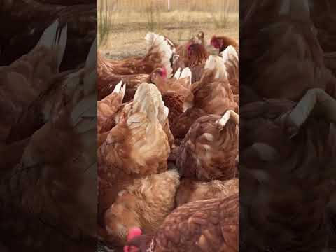 Is this how you solve it?