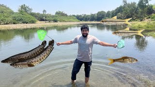 Bahot Big Size Ka Snake Head Fish Mili Aaj 🎣😱