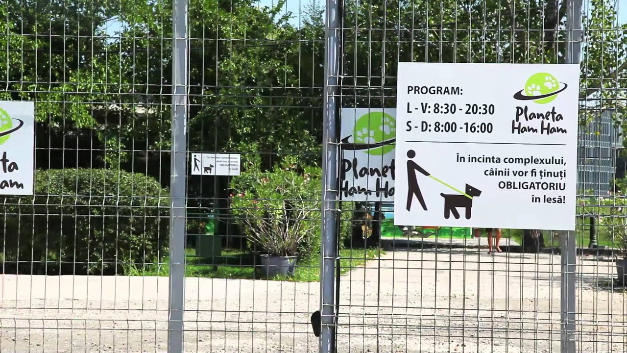 Orasulm.eu - Planeta HamHam - Pluto Pet Hotel
