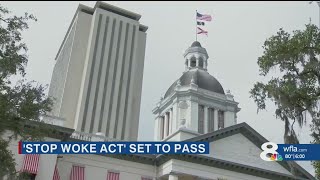 Florida ban on critical race theory to get final vote, all amendments fail