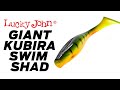 Lucky john giant kubira swim shad