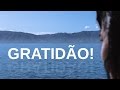 GRATIDÃO! A maravilhosa travessia pelo mar para ilha sul da Nova Zelândia.