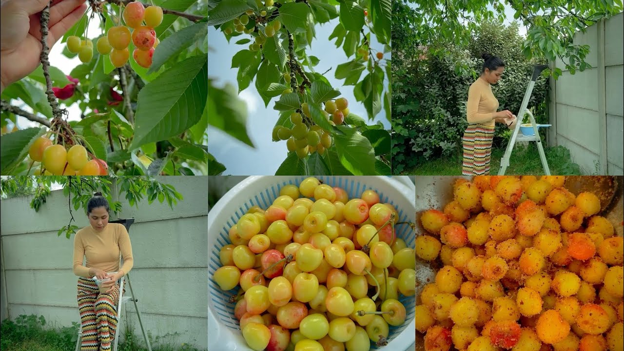 Cherry🍒ក្រឡុកអំបិលម្ទេសម្តងញុំាជក់មាត់