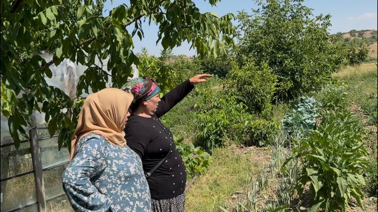 #BURDUR # ABLAMIN CIFTLIGI# HOROZLARIDA VAR#🐓🐓🐔🐔