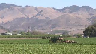 SLO County Agriculture Hits $1 Billion for Fifth Consecutive Year