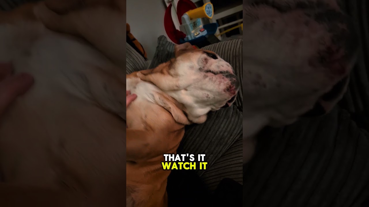 All I want to do is watch Carol dancing 🤣