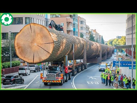 Extremely Dangerous Monster Wood Truck Driving Skill | Biggest Heavy Machinery Machines - The Engine