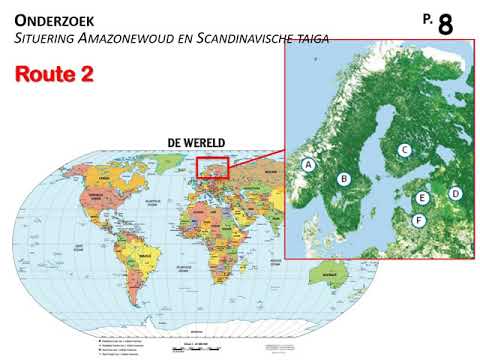 Waarin verschillen het Amazonewoud en de Scandinavische taiga