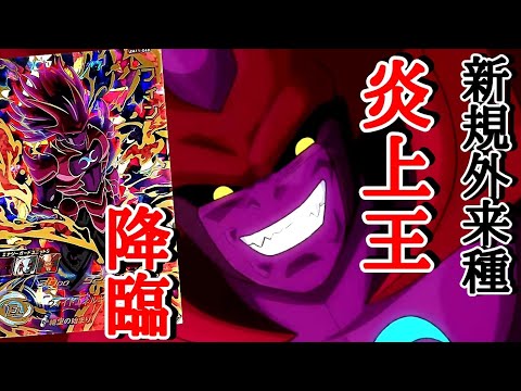 スーパードラゴンボールヒーローズ バゴット 750 スーパードラゴンボールヒーローズ ハイパーゴッドバード6枚