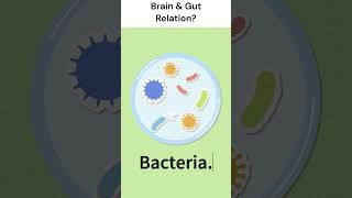 Famous The Surprising Connection Between Your Brain and Your Gut Profile
