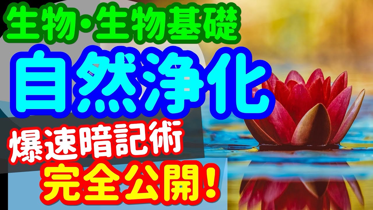 【生物基礎 33】生態系【自然浄化】を宇宙一わかりやすく