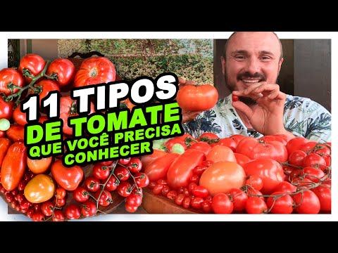 Vídeo: O que são tomates verdes alemães - Aprenda sobre a planta de tomate verde alemão da tia Ruby