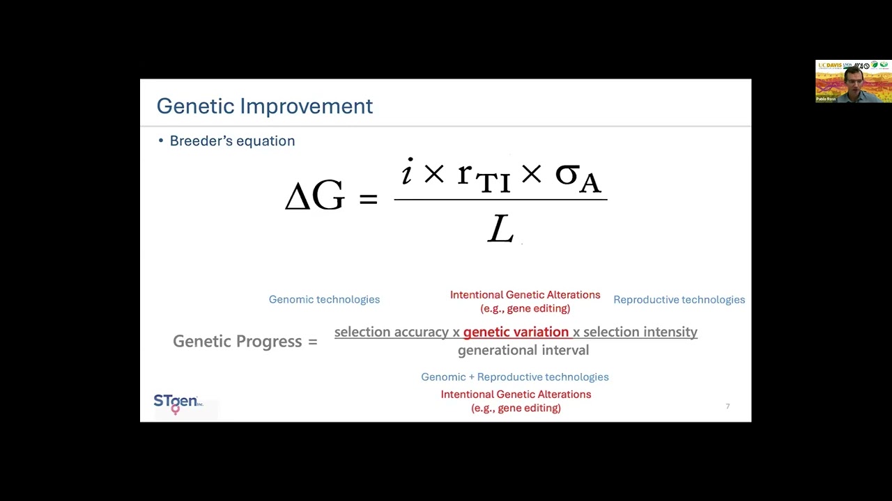 Gene editing technologies in cattle genetic improvement: Perspective from STgenetics