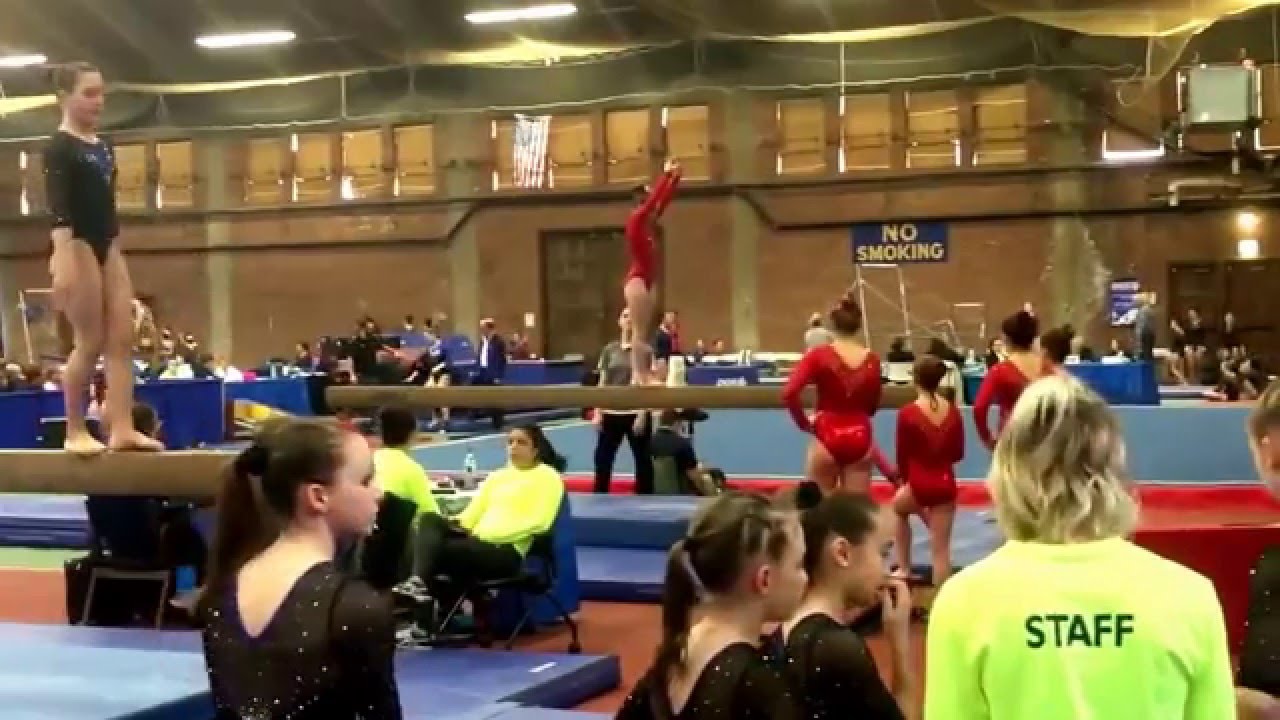 2016 Level 8 Gymnastics Meet YouTube
