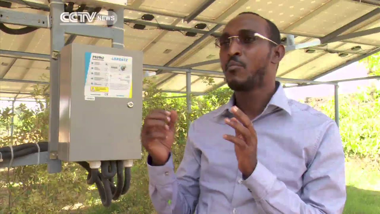 Farming In Somalia: Farmers Use Solar Energy to Irrigate Their Farms