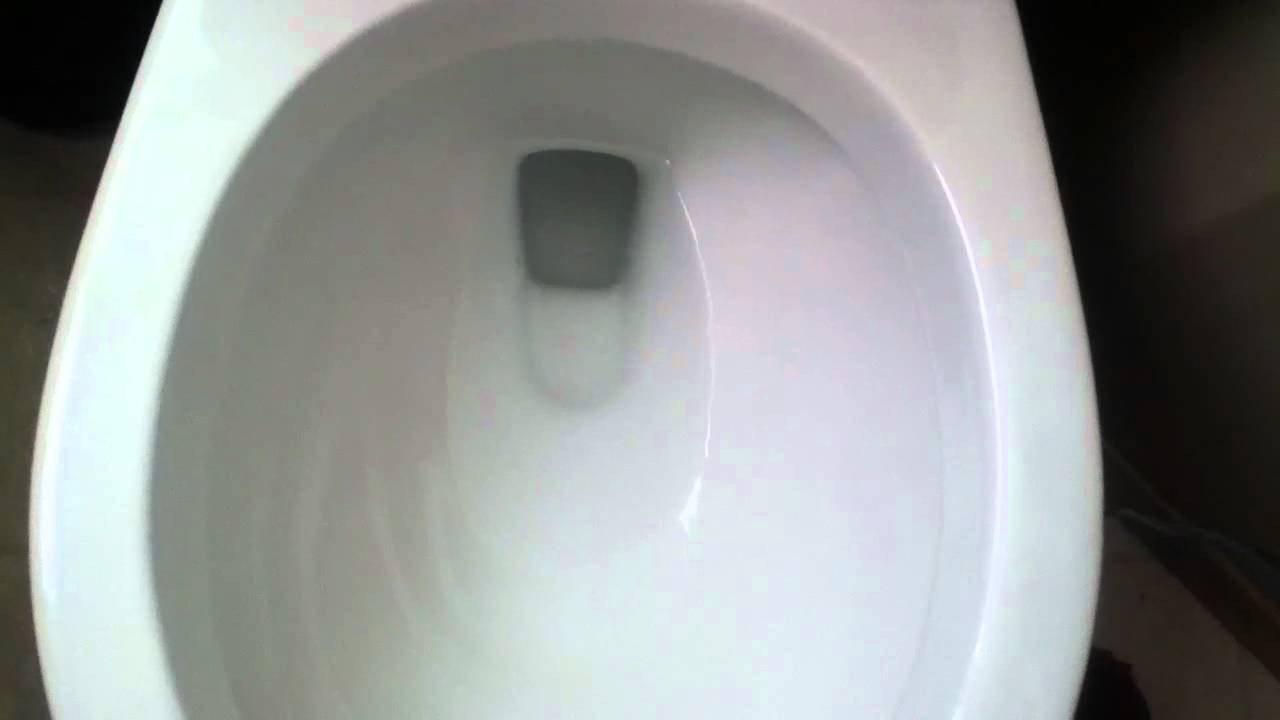 Rona Dual Flush at my Moms Friends house YouTube