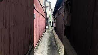 2025.05.16 Walking around Shin-ike, Tobata Ward, Kitakyushu