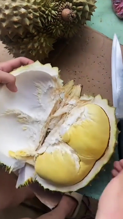Belah Durian Di musim Durian #shorts #durian #fruit