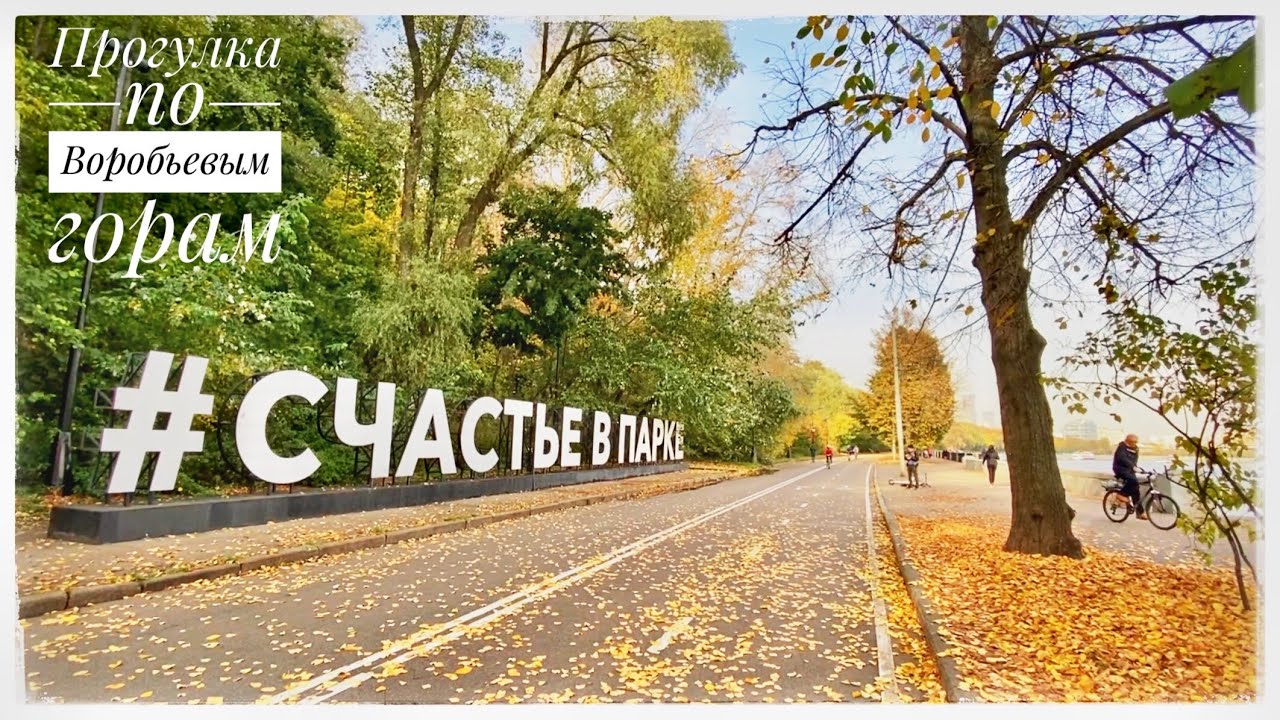 Прогулка по воробьевым горам Прогулка по воробьевым горам
