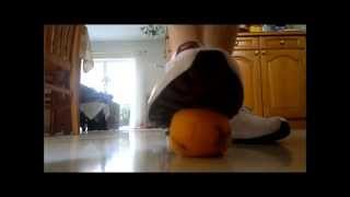 Nike Shox Stomp Orange