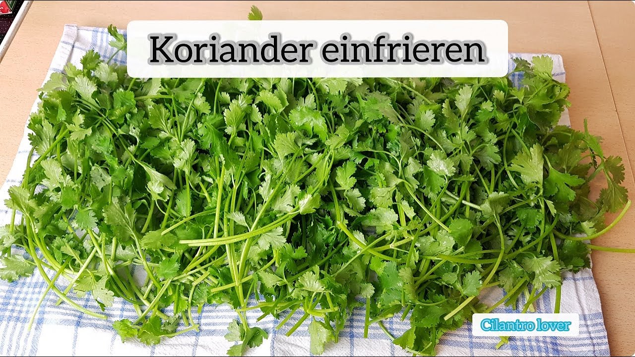 shingrix aufbewahrung HOVANZO Premium Große Bambusbox - Verriegelung Dekorative Box mit Zahlenschloss - Aufbewahrungsbox Holz Verriegelung Aufbewahrungsbox mit Rolltablett Steuererklärung Tipps – Irrtümer, Kollege Größe:100 gr.