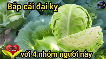 Sức khỏe: Những người không nên ăn bắp cải - NTN SL