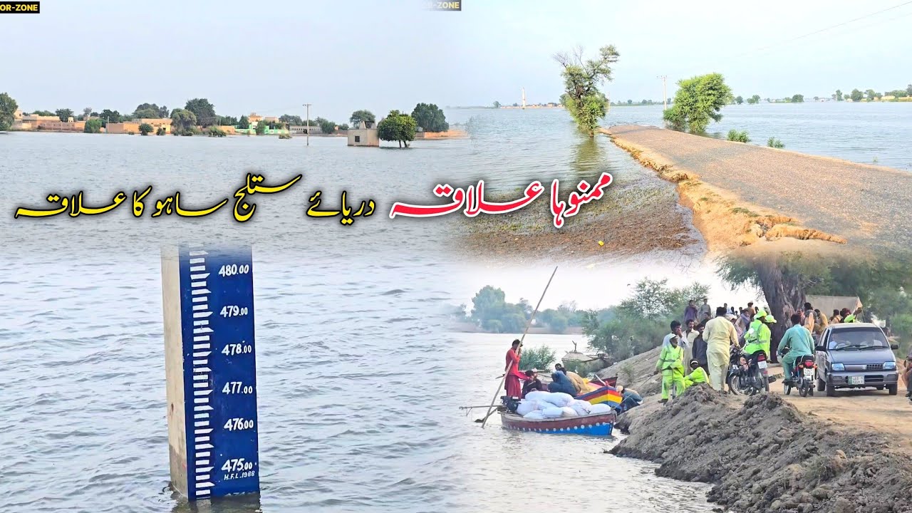 دریائے ستلج میں تباہ کاریاں زرعی رقبے زیر اب بستیاں ڈوب گئیں ساہو کا علاقہ