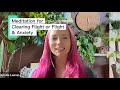 Meditation for Clearing Fight or Flight &amp; Anxiety #energyhealing #healing 