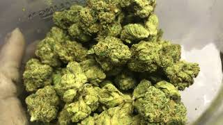 SFV OG