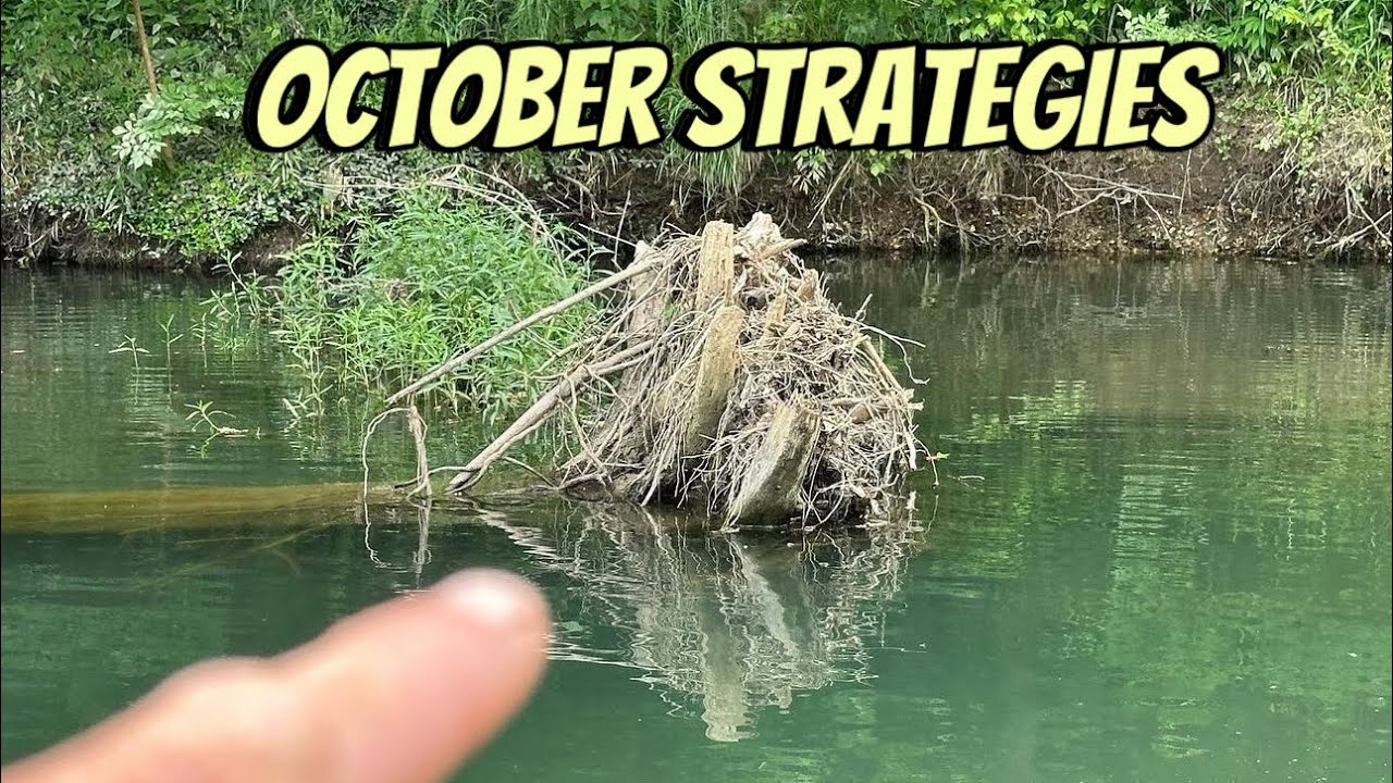3 Advanced Strategies For Catching October Bass…