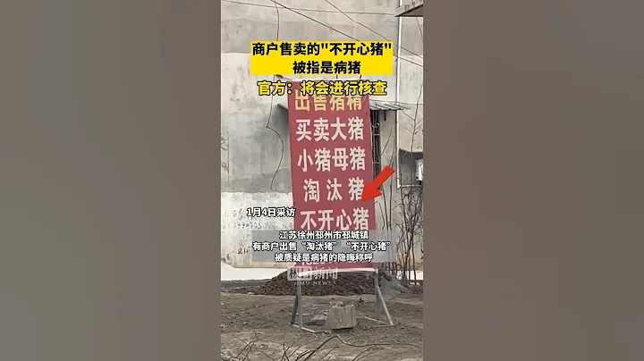 有人售卖“不开心猪”被指是病猪，徐州农业农村局相关部门工作人员：将核查 - 天天要闻