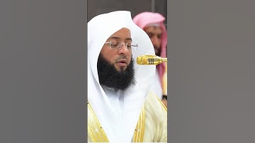 الشيخ بدر التركي يبدع ويمتع من سورة التين #اللهم_صل_وسلم_على_نبينا_محمد #اكسبلور #محمدنبينا #ﷺ