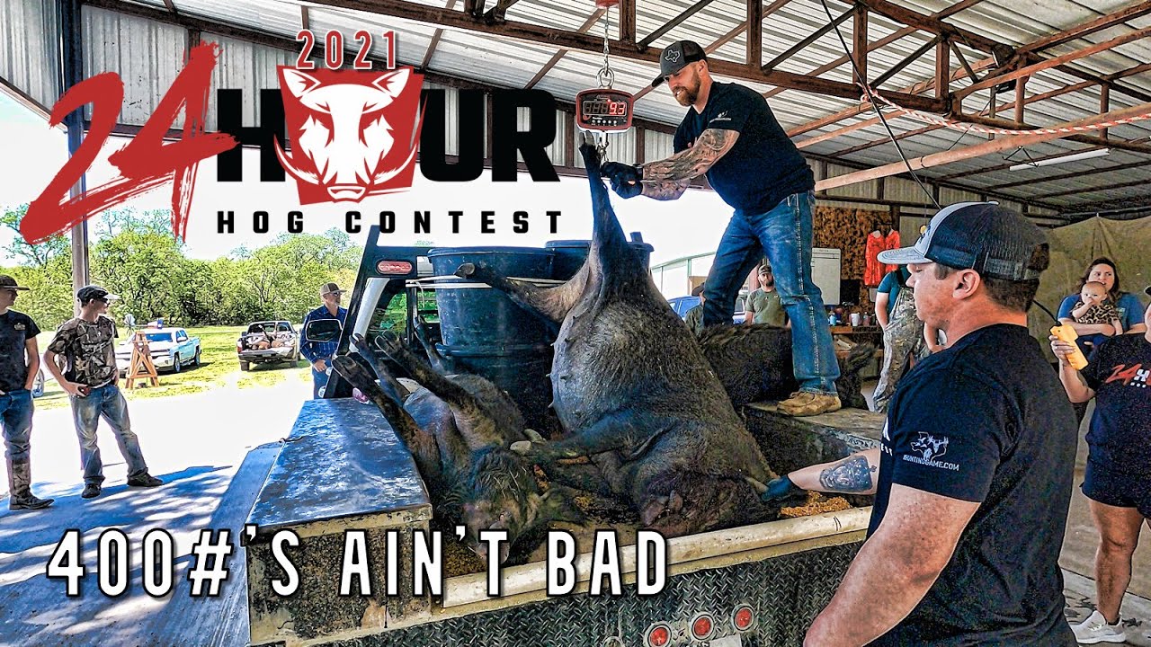 120 Hogs Weighed in 4 Hours! 24 Hour Hog Hunting Contest (2021) YouTube