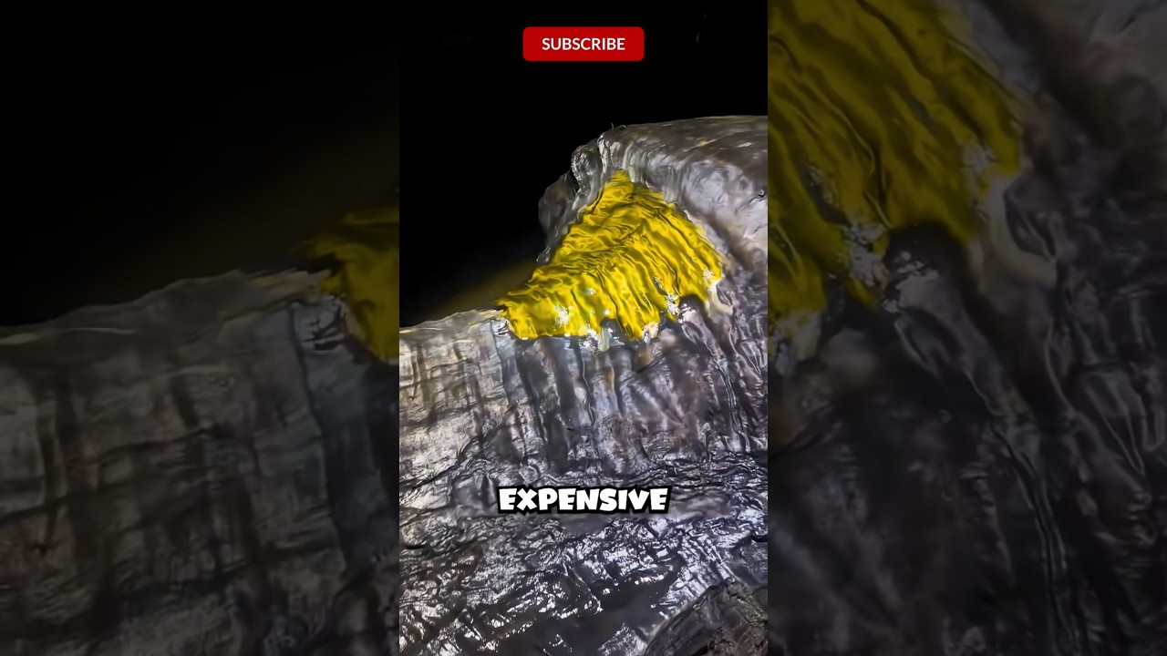 The Most Expensive Wood You've Never Heard Of 