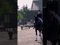 FEI Dressage Le Mans - BD Youth Winners 🏆