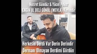 ENGİN OL DELİ GÖNÜL Resimi