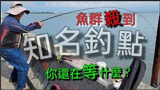 知名釣點，確實不負盛名 Fishing  台湾の釣り 낚시 câucá 爆釣 パチスロ