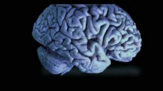 Kary Novel's MINDTRAP Trailer