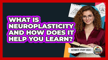 What Is Neuroplasticity And How Does It Help You Learn? - Ultimate Study Hacks