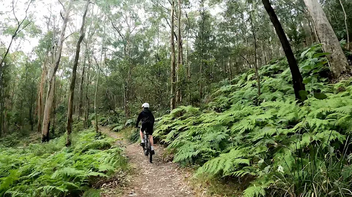 F&G MTB Jesmond Park NSW Australia