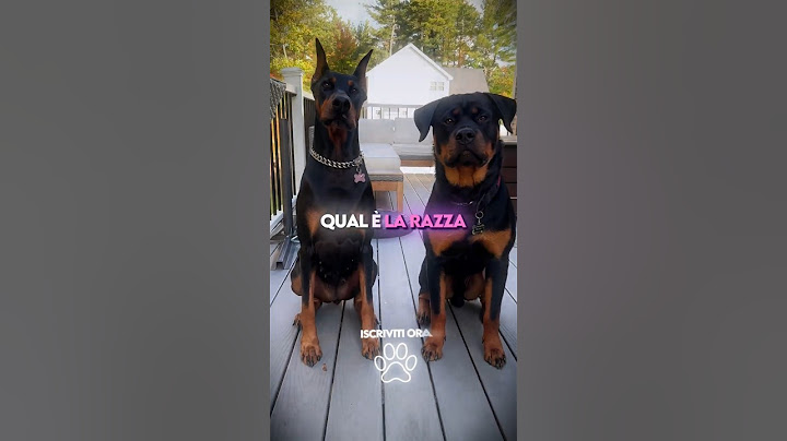 Le 3 Migliori Razze di Cani per Proteggere la Tua Casa 🏡🐕🛡️