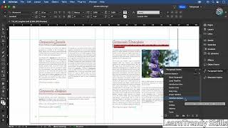 Editing, Clearing & Redefining Styles in Adobe InDesign 2024 | Character & Paragraph Styles Tutorial