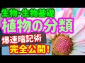【生物基礎 6】植生【植物の分類】を宇宙一わかりやすく